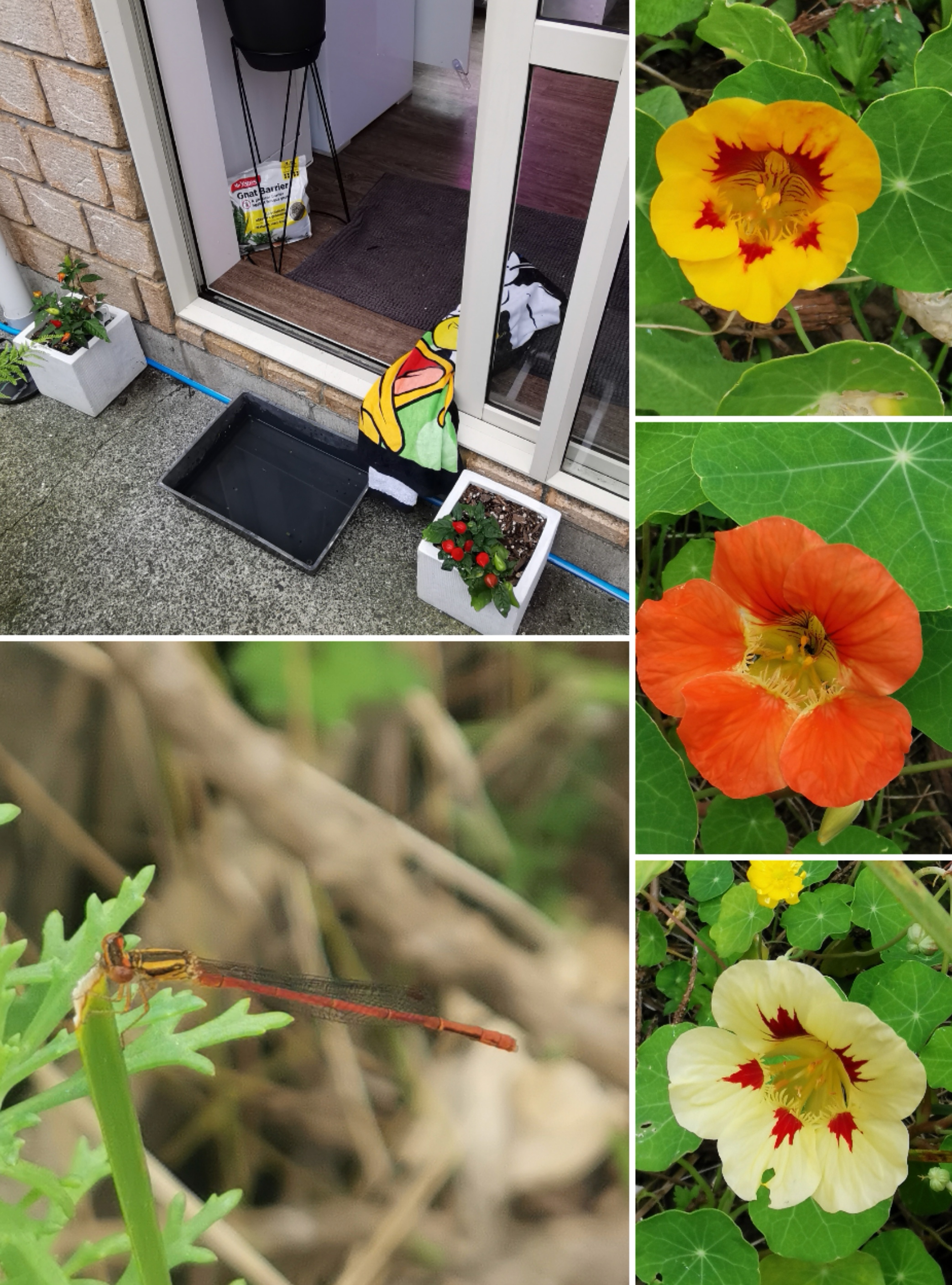 A Tip for Jordy and noticing the little things. 