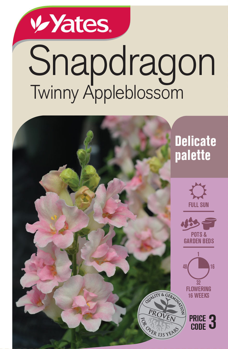 Snapdragon 'Twinny Appleblossom'