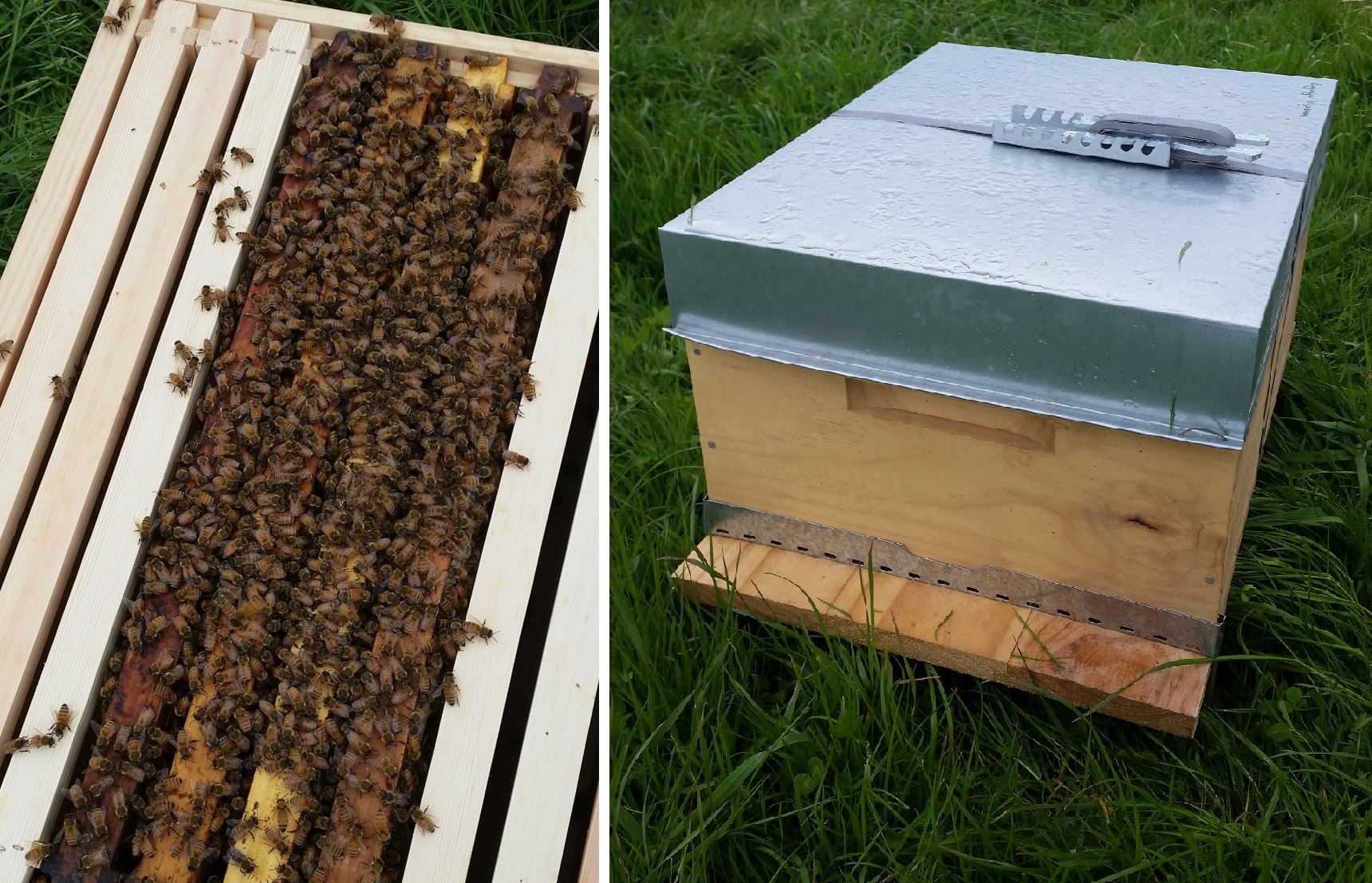 New garden accessory!