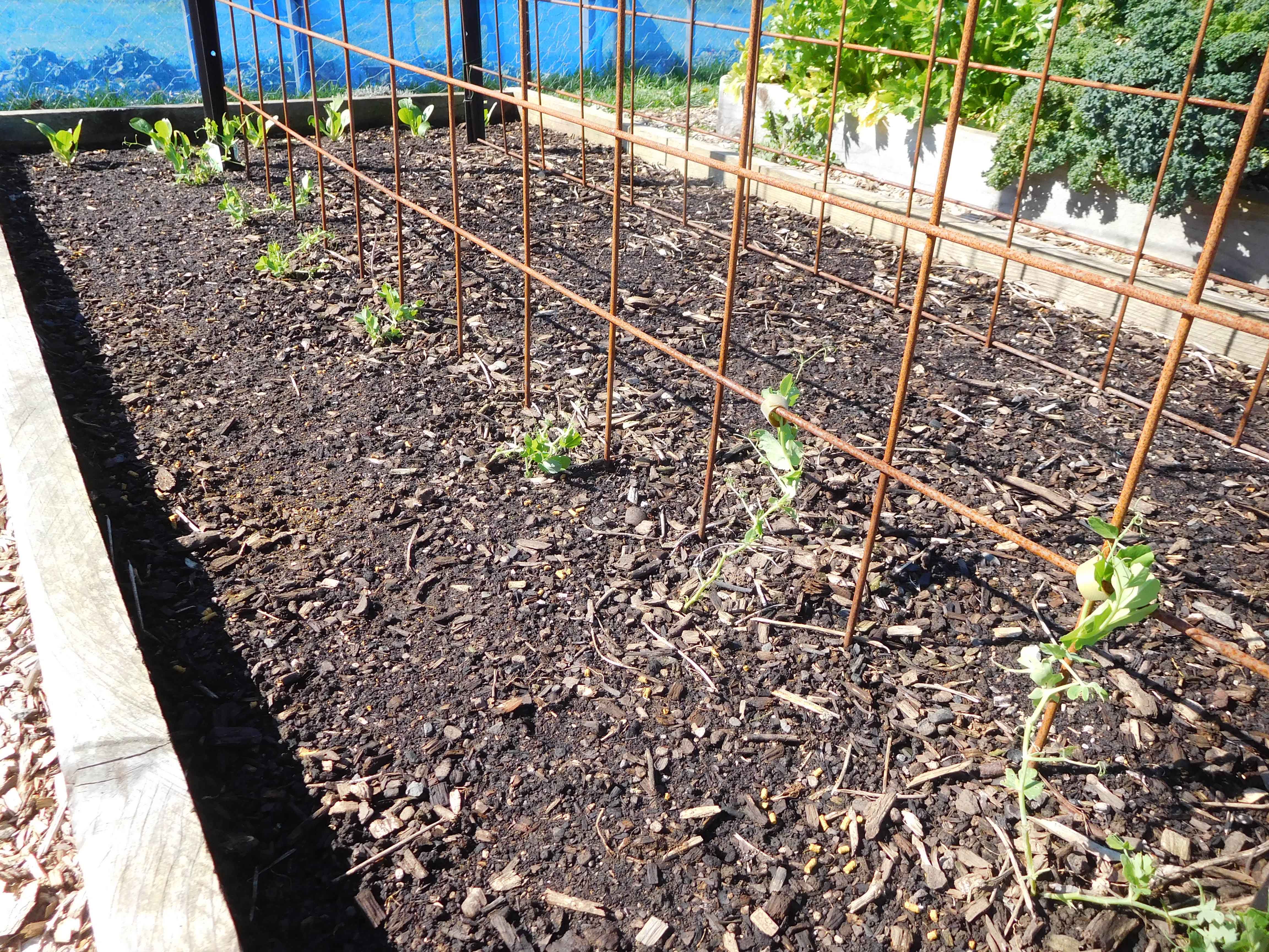 Spring is here!  (meteorological spring)