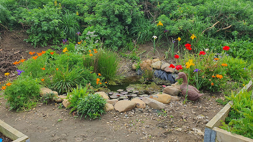 The calm before the storm