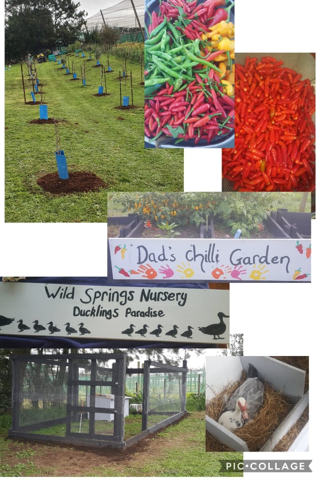 Another reason to love Spring