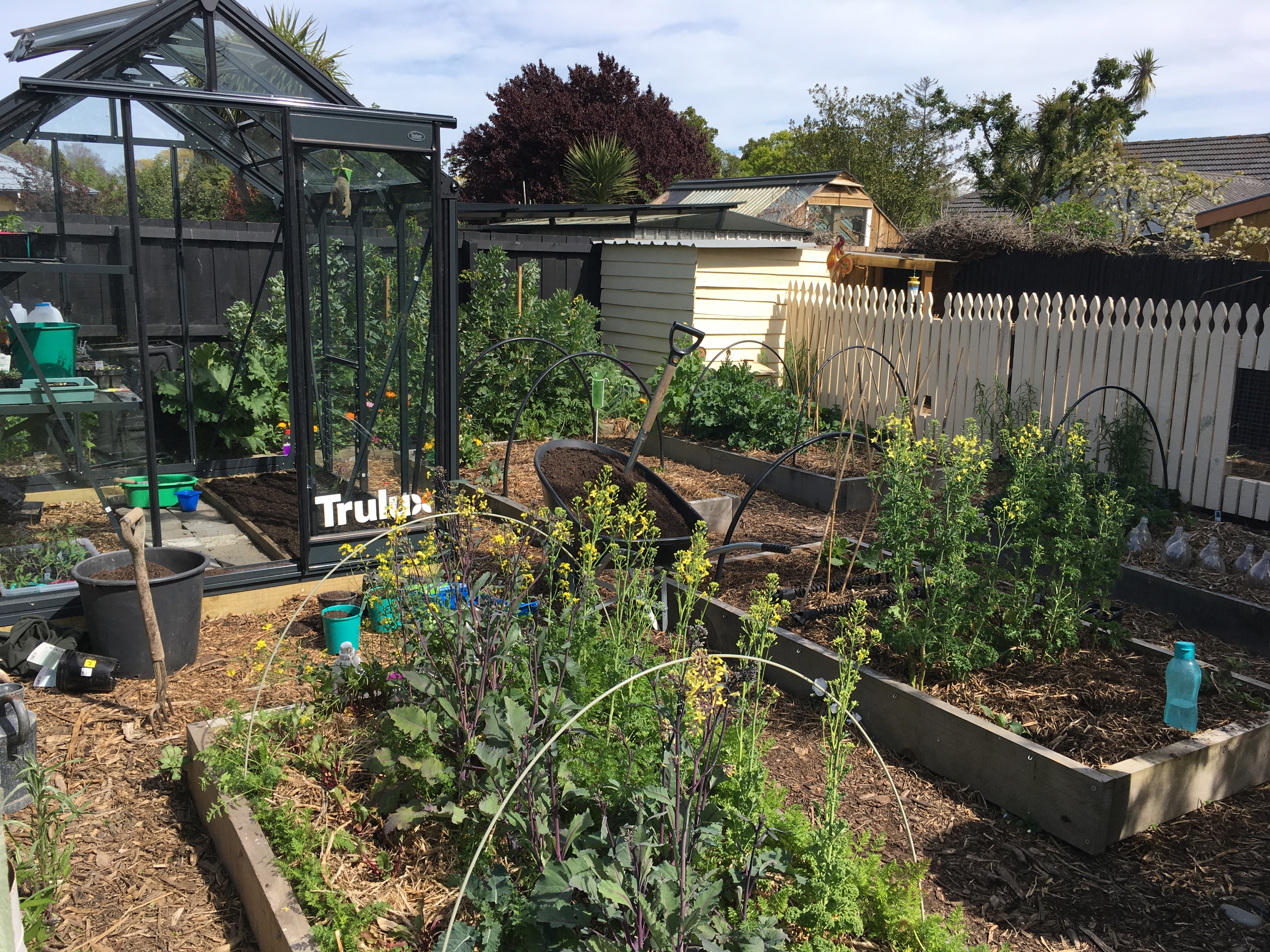 Let it grow, let it GROW