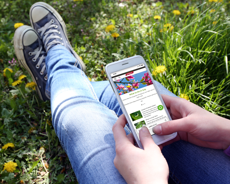 Get Yourself Some Inbox Inspiration!