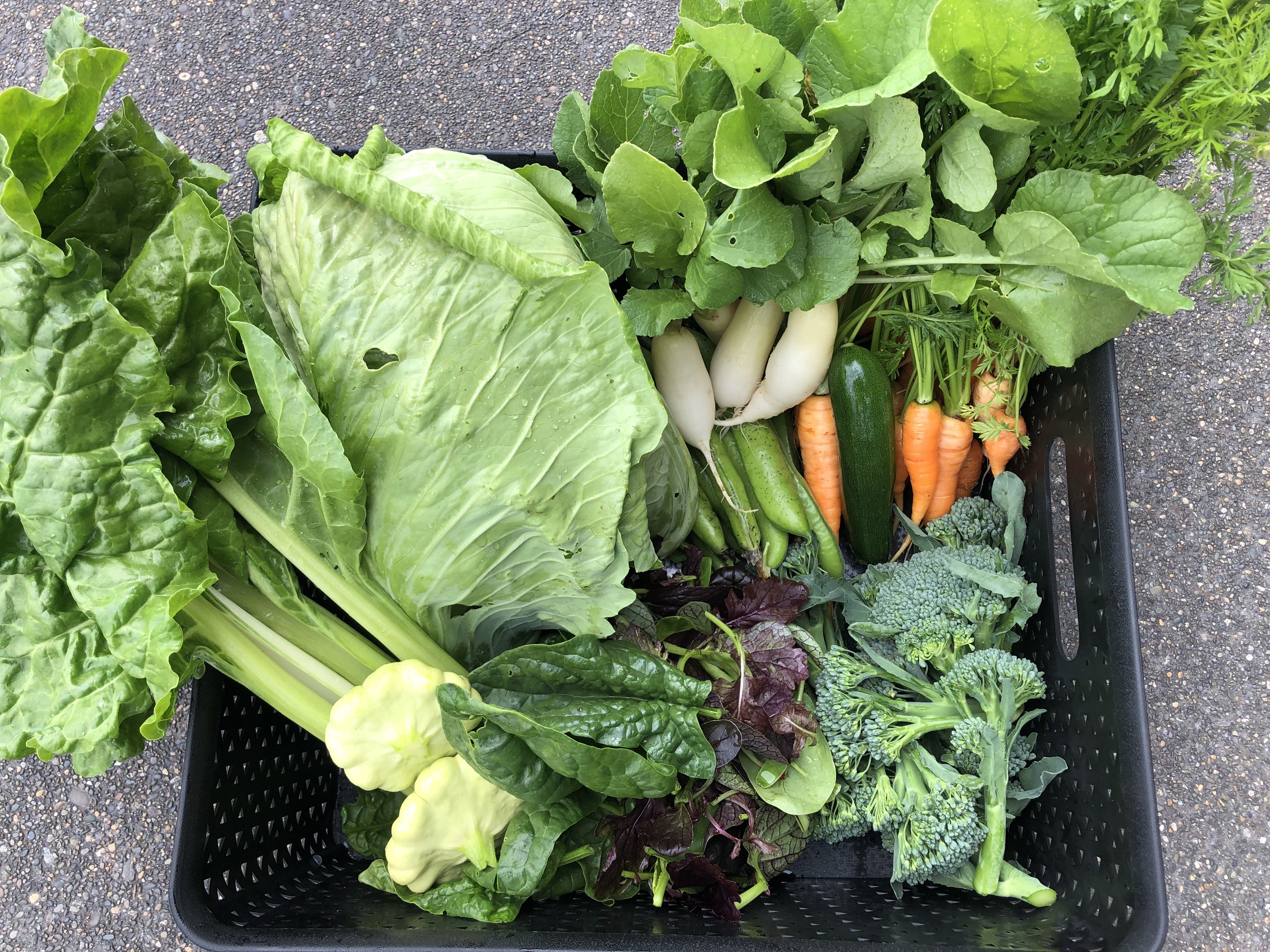 Garden is delivering the goods!