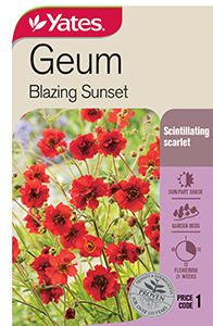 Yates Y35 967 Geum Blazing Sunset 2021