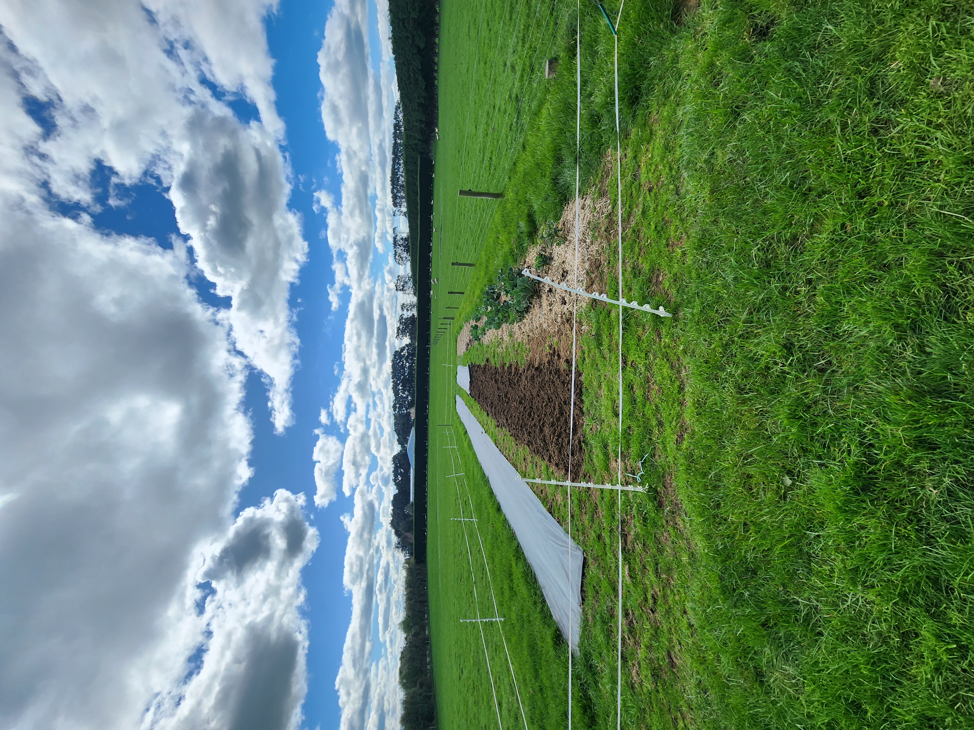 Ever expanding garden