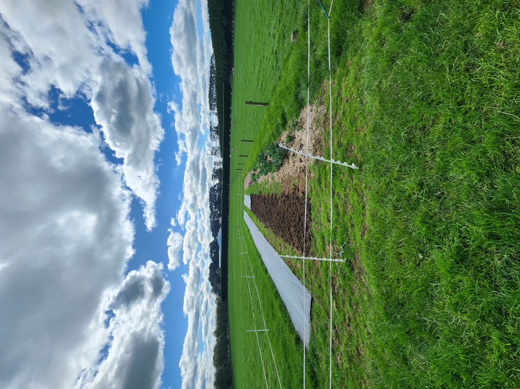 Ever expanding garden