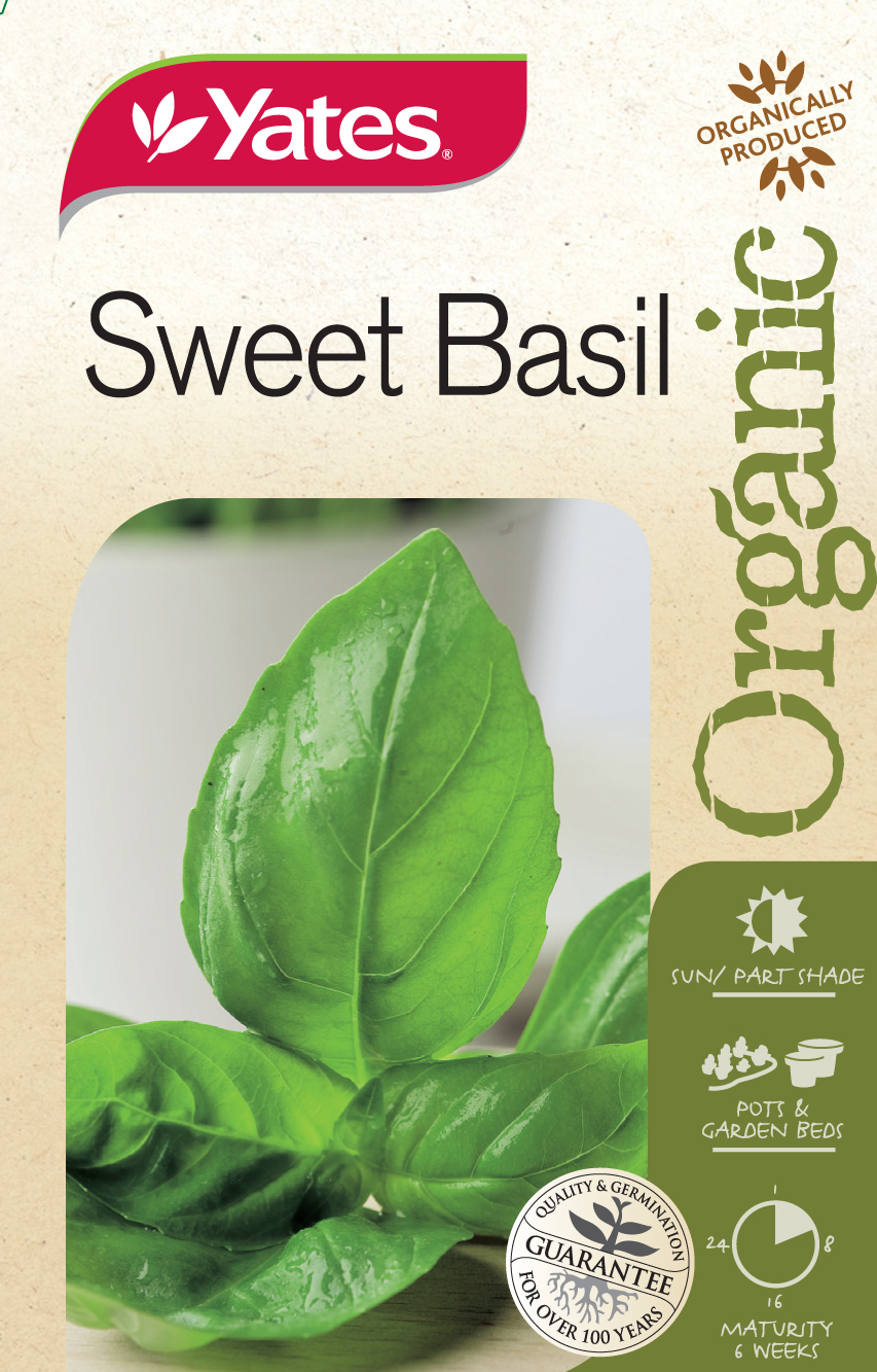 Sweet Basil (Organic)