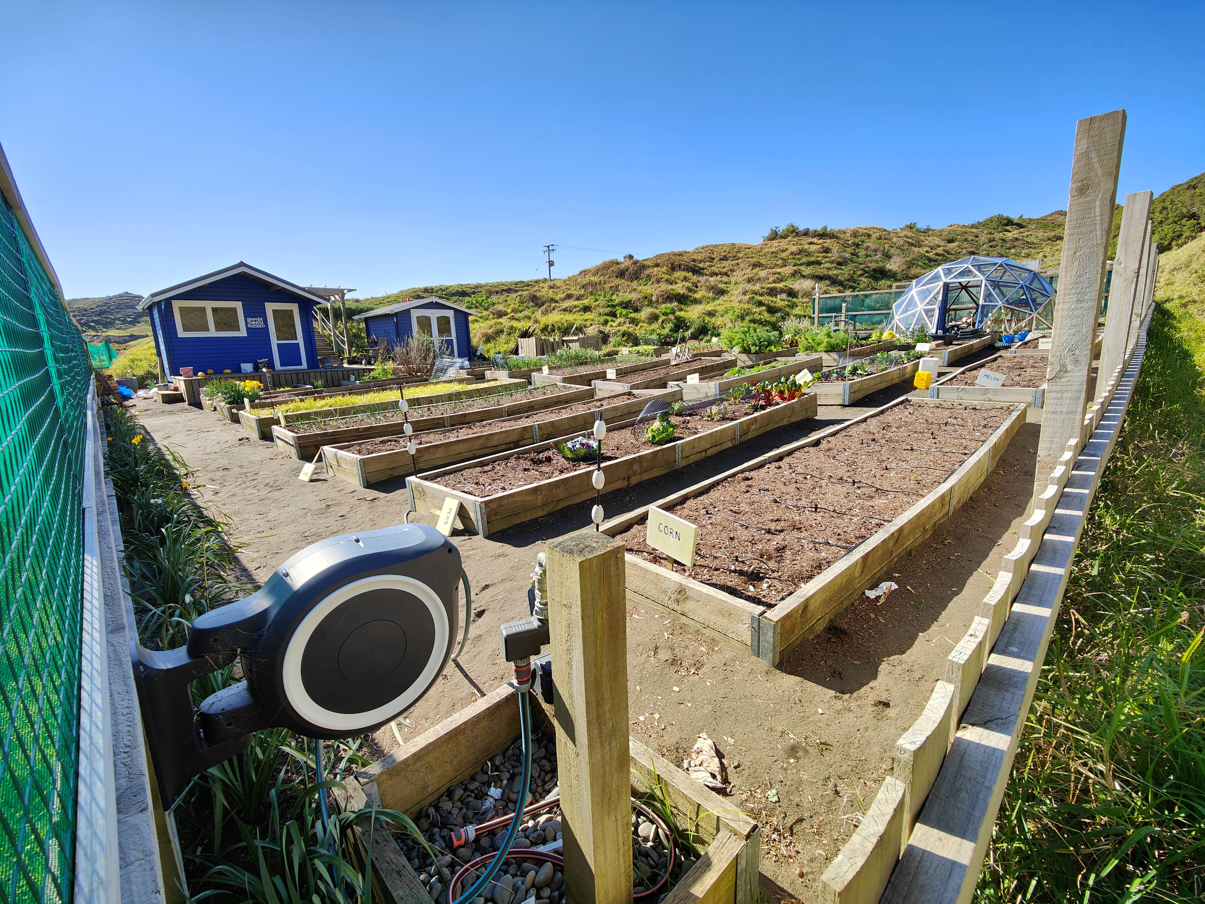 Welcome to Spring 2023