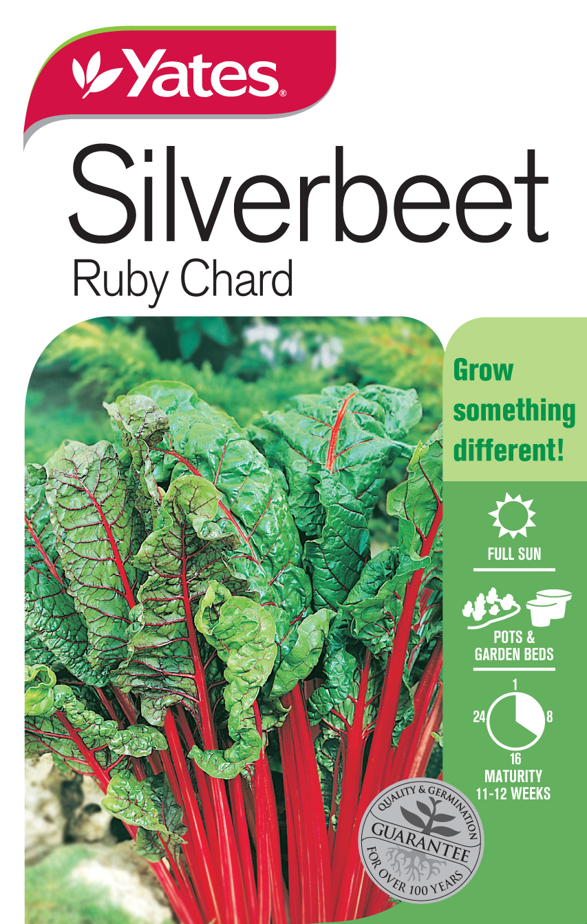 Silverbeet 'Ruby Chard'