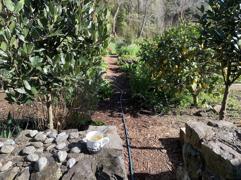 UP THE GARDEN PATH