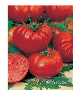 Tomato Mortgage Lifter Product