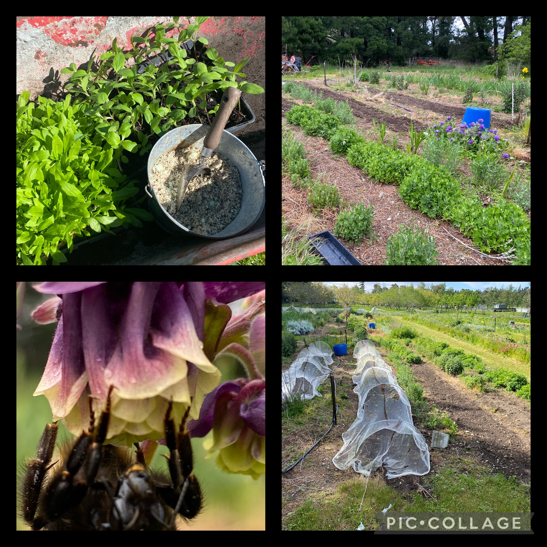 Getting out of my own way 