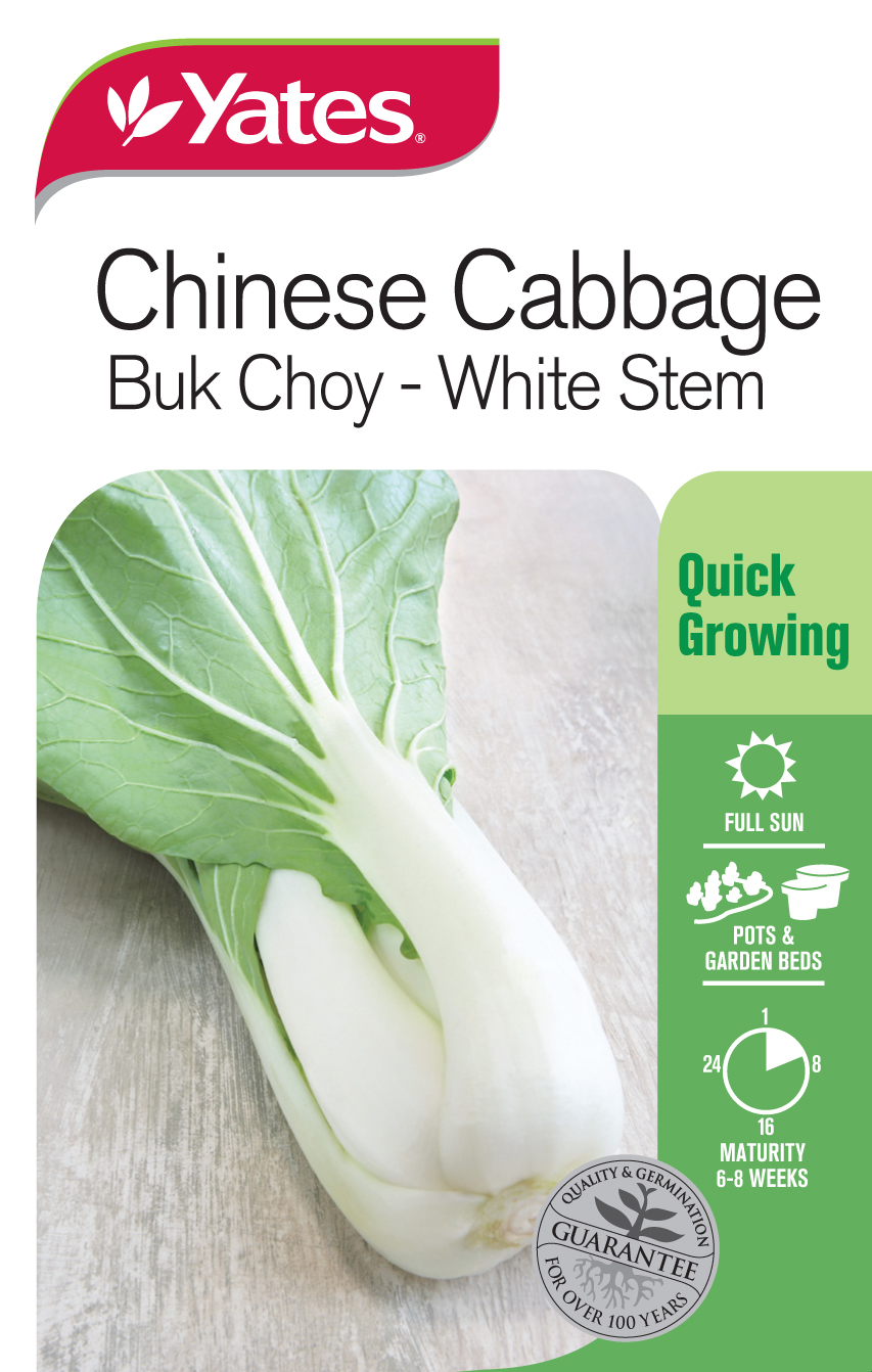 Bok Choy - Chinese White Cabbage