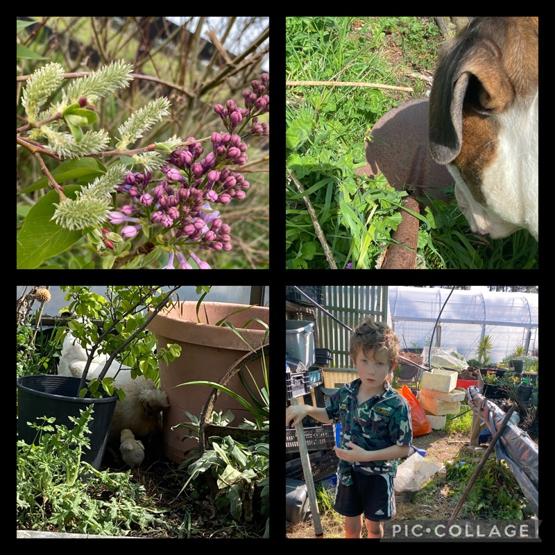 4 highlights from my day 💕