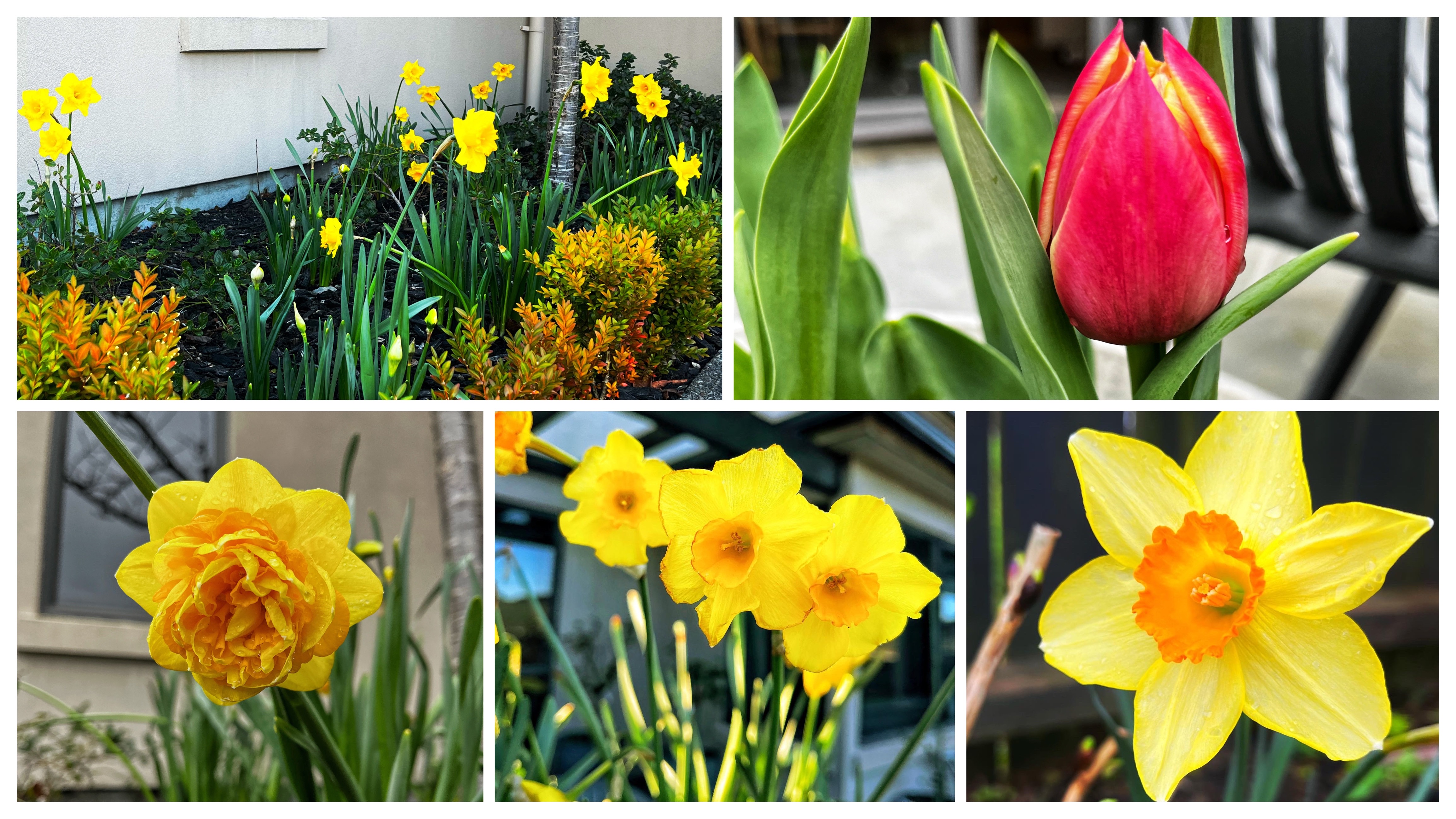 Hey there Spring 2022!