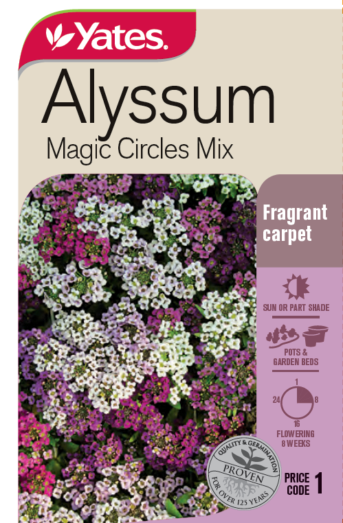 Alyssum 'Magic Circles Mix'