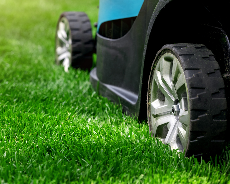 Spring Lawn Care Tips