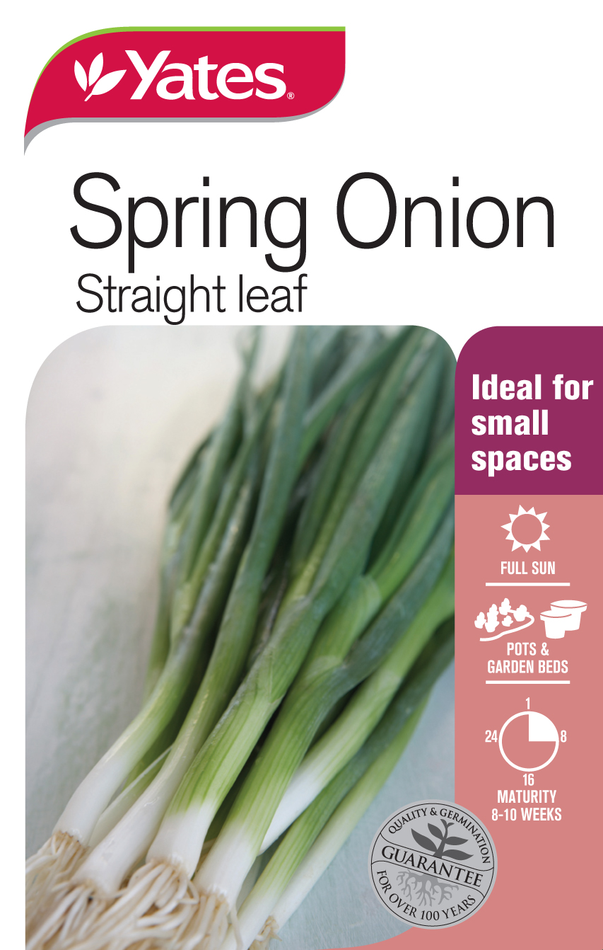 Spring Onion 'Straight Leaf'