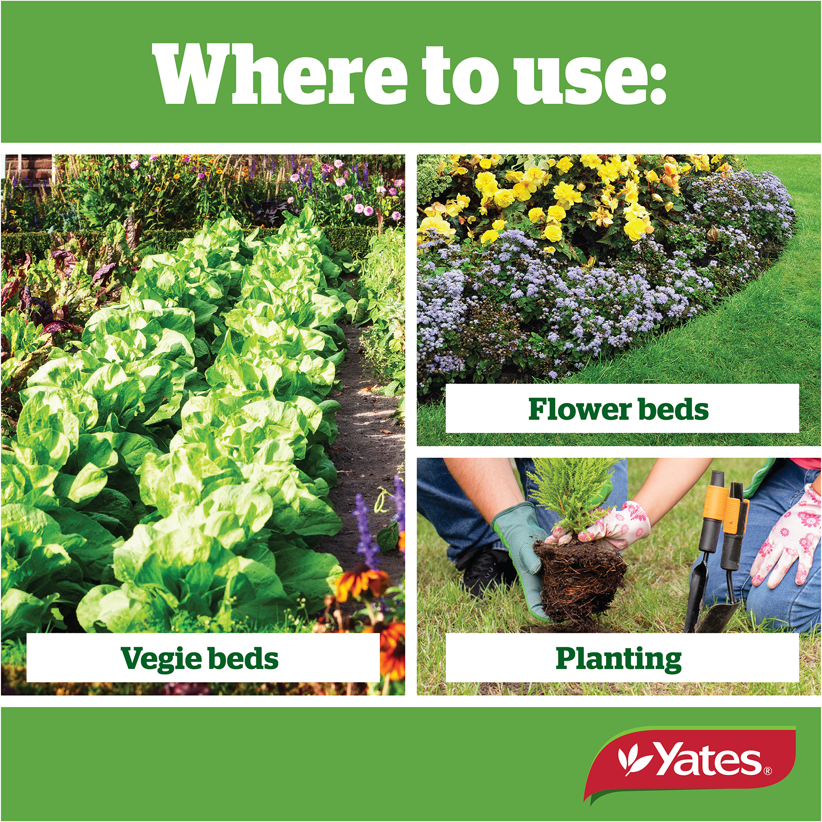 Yates Blood & Bone Fert V2 02