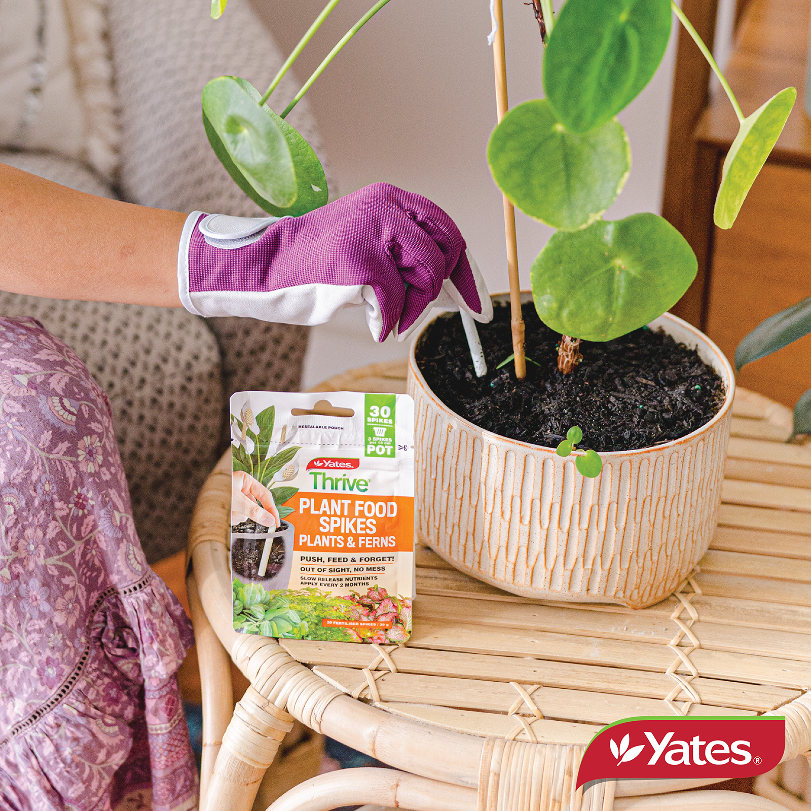 Yates Plant Spikes Indoor V2 06