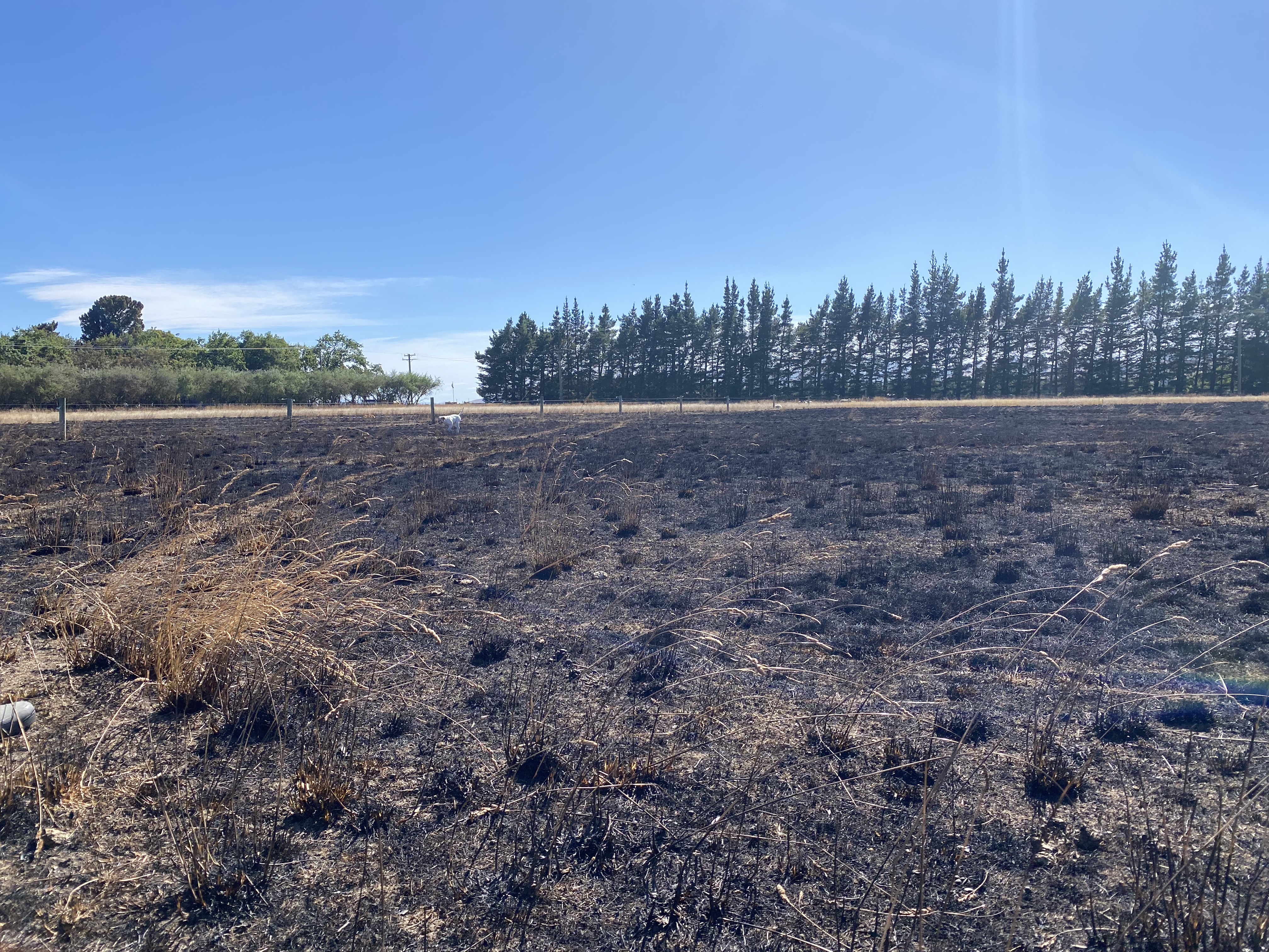 Terrifying experience 