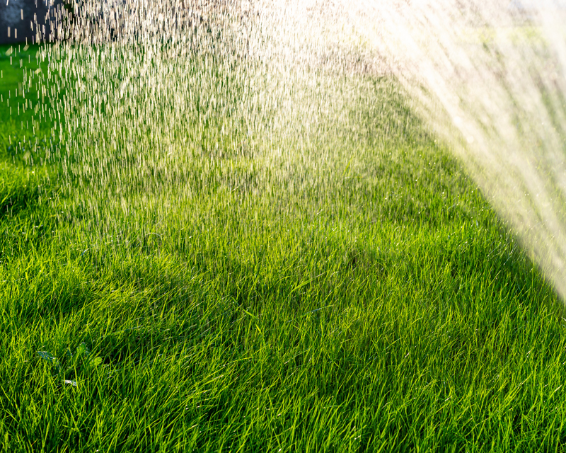 Dry Season Lawn Care