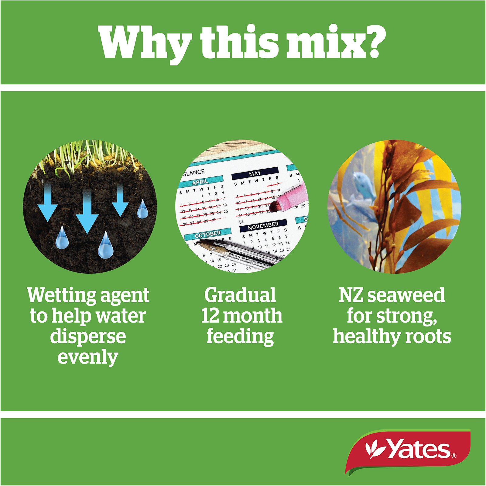 Yates Thrive Indoor Mix V2 04