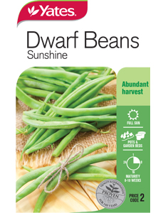 Dwarf Beans 'Sunshine'