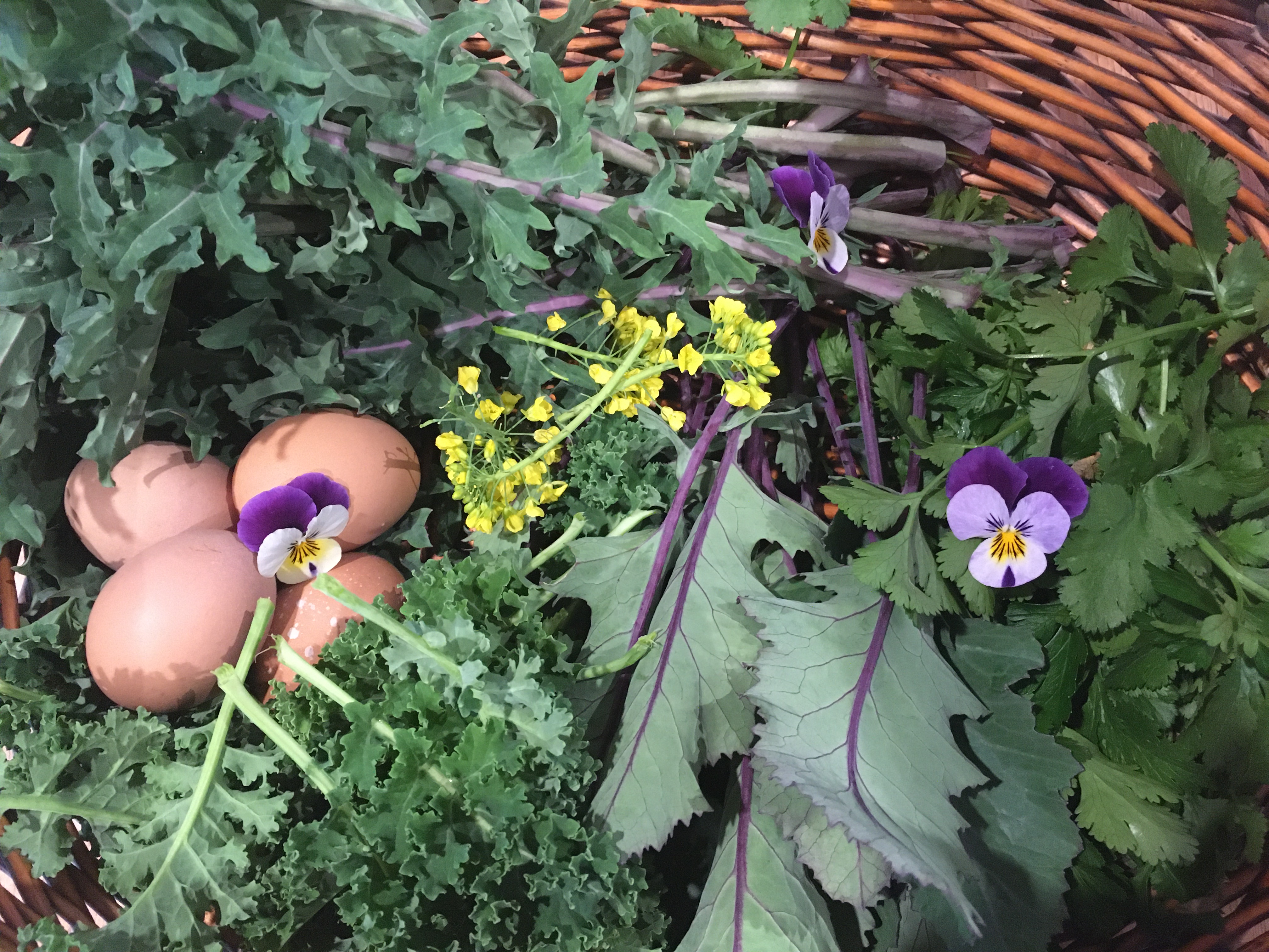 Garden Overwhelm this early? 