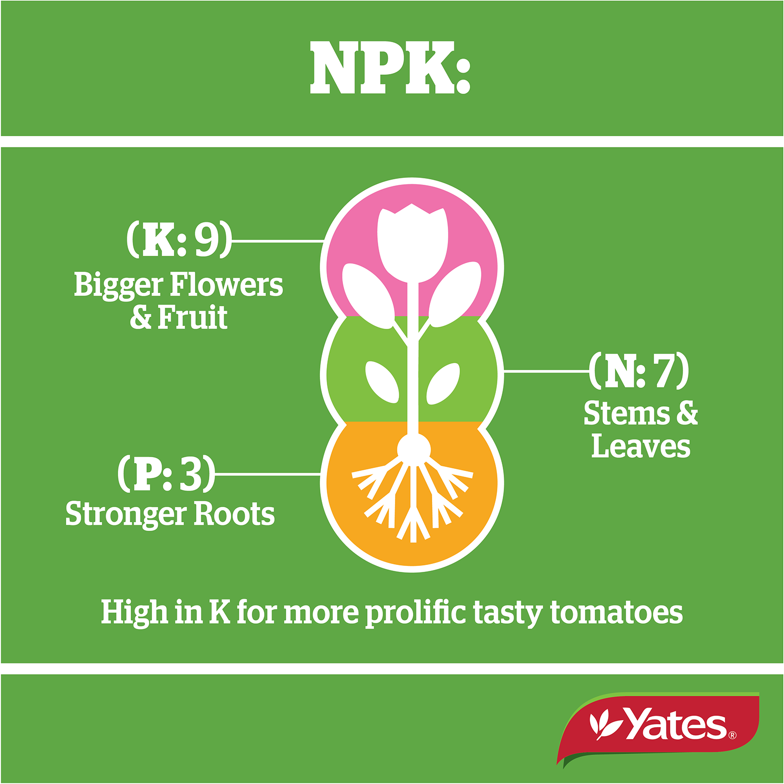 Yates Tomato Granulars V1 06