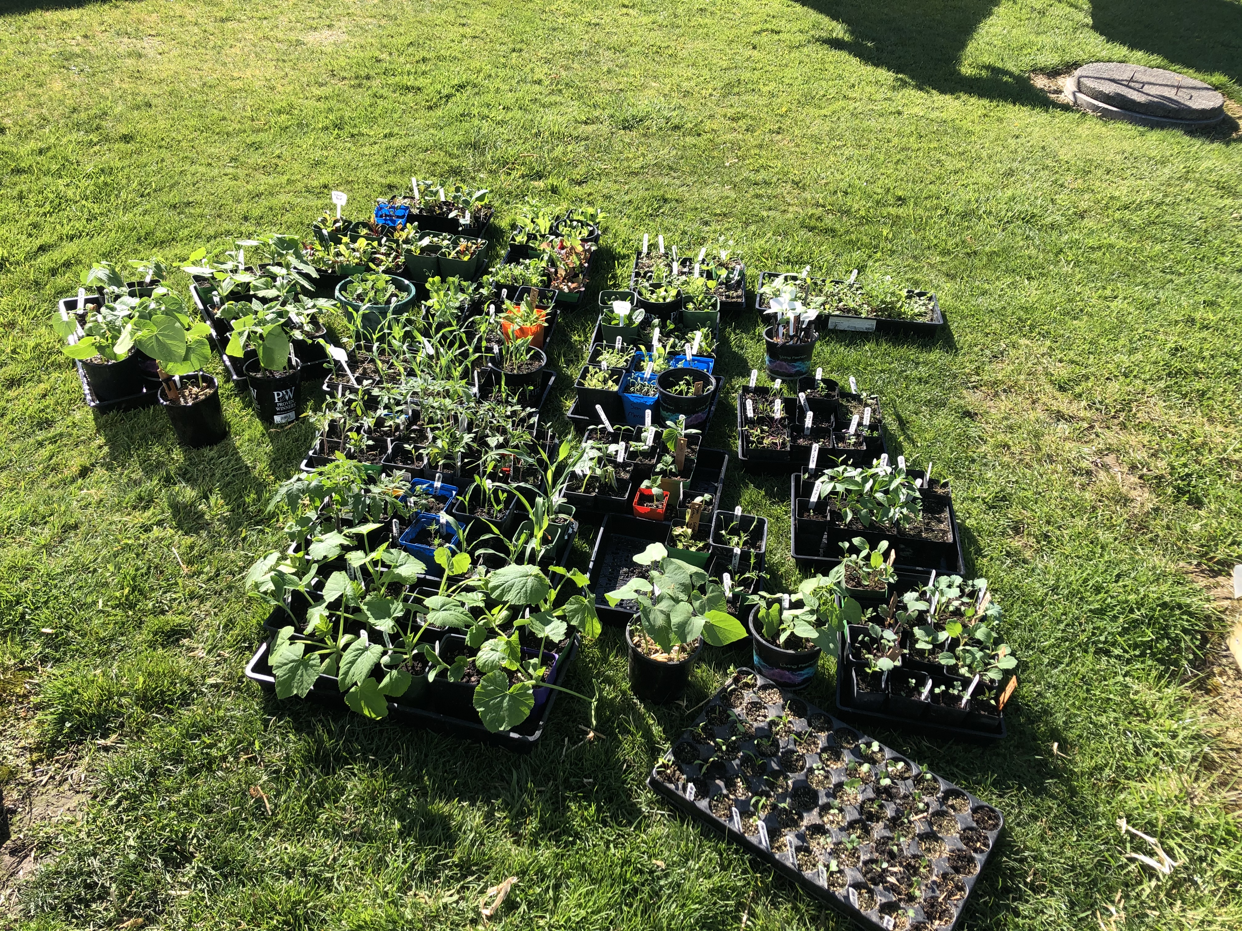 Productive day in the sunshine