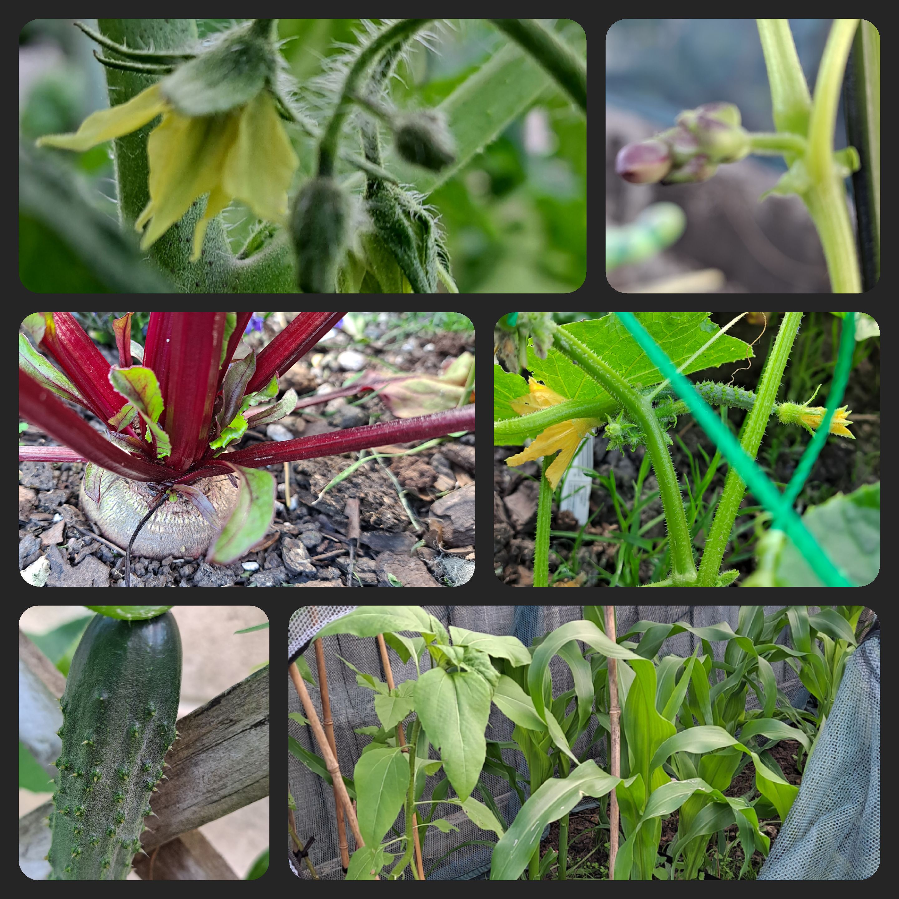 While We Were Working