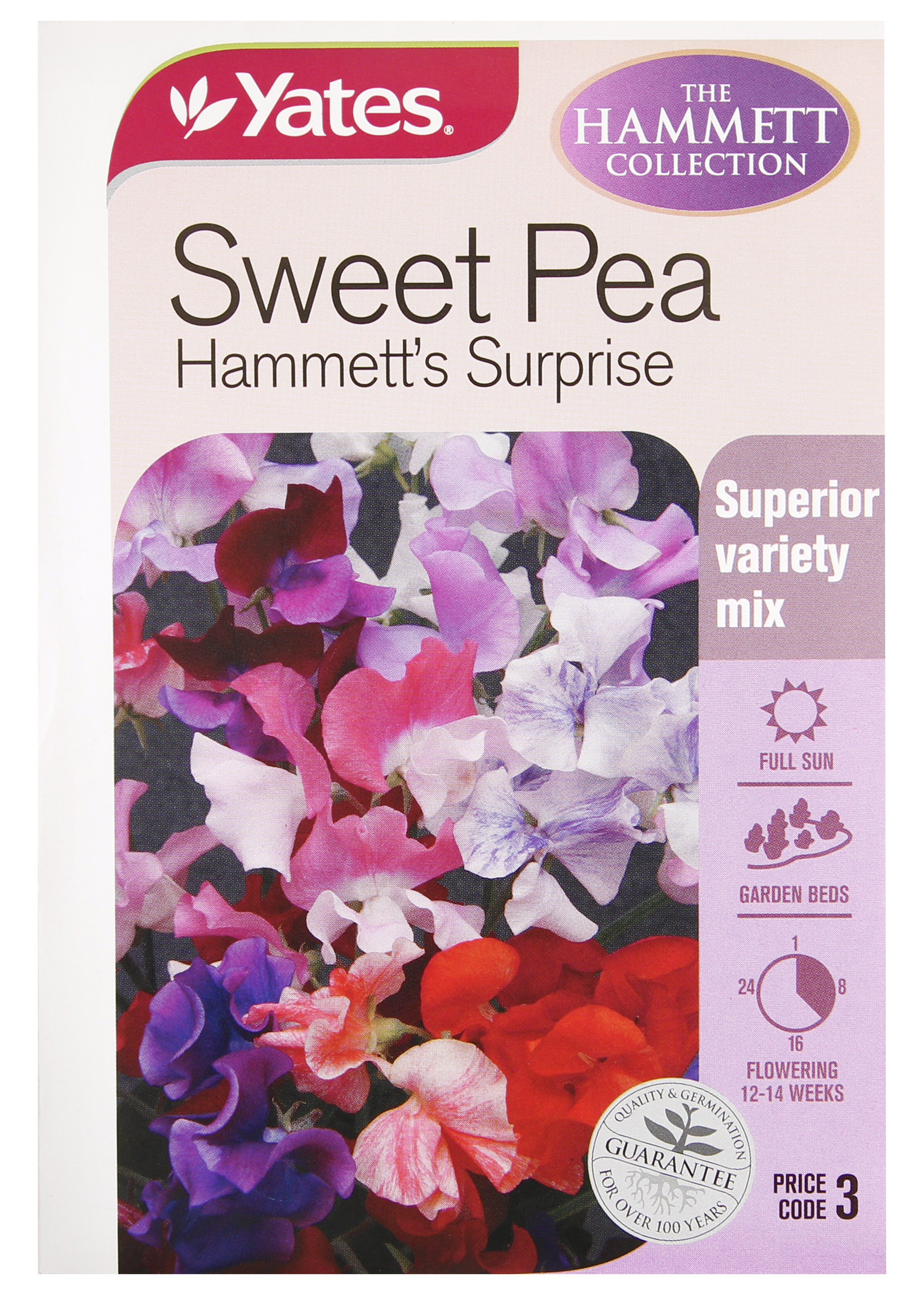 Sweet Pea 'Hammett's Surprise'