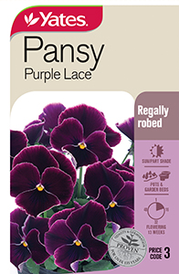 56172 Seed Pansy Purple Lace YATES