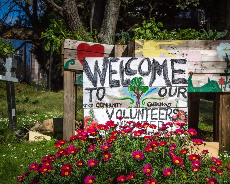 7-steps-to-start-a-community-garden-1