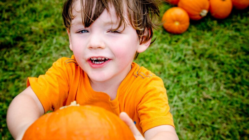 how-to-grow-giant-pumpkins-for-kids_1575941683655
