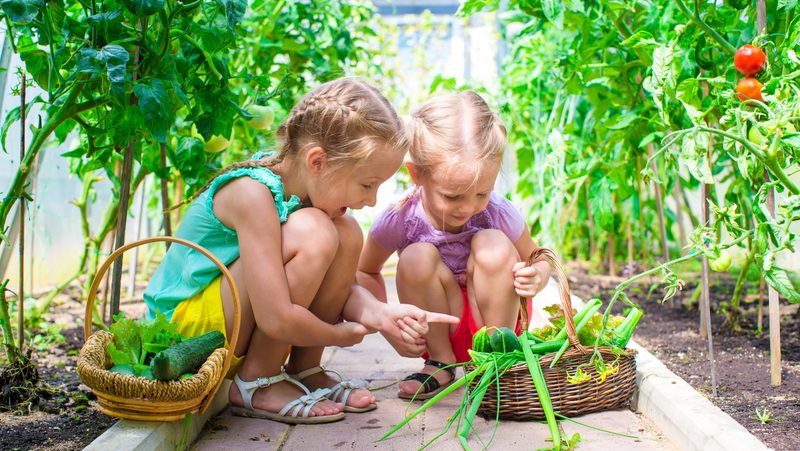 school-gardens-and-linking-to-curriculum_1576214044707