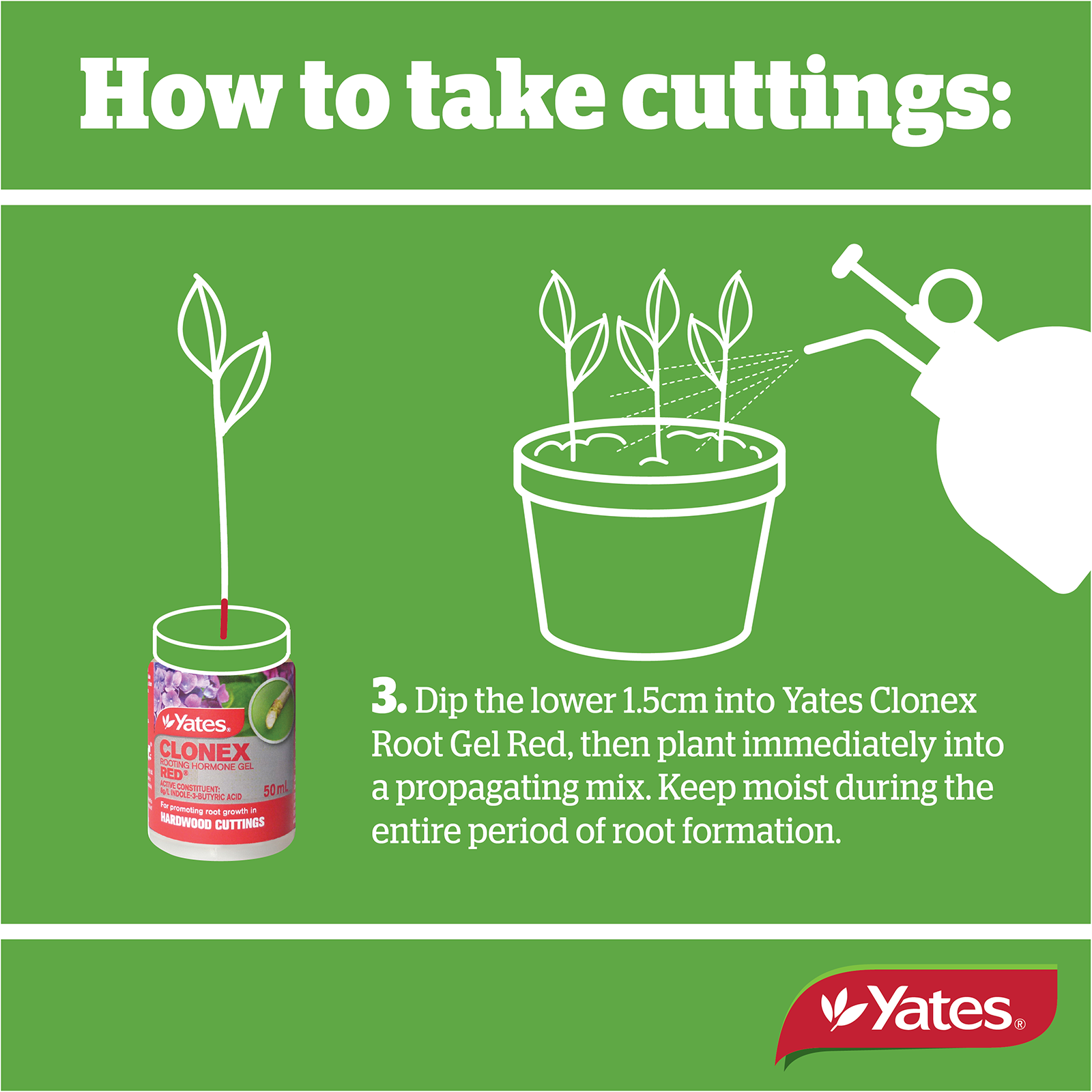 Yates Clonex Red Web V2 06