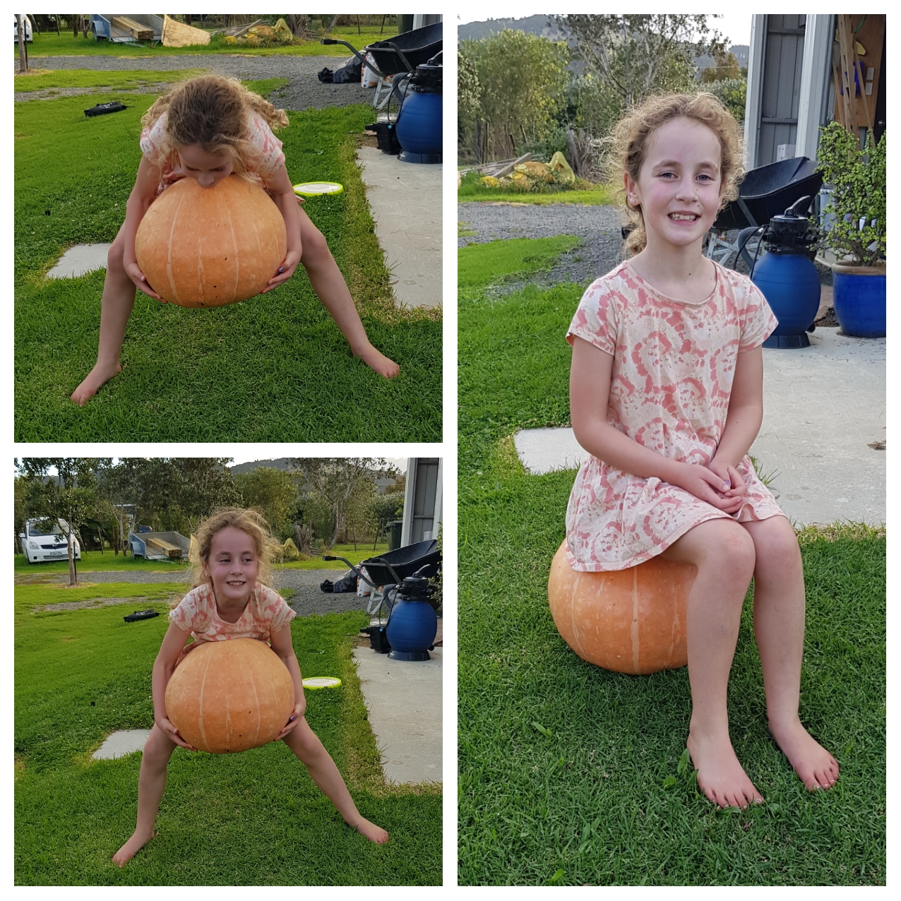 Not so Giant Pumkin