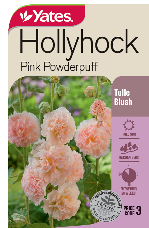 Hollyhock 'Pink Powderpuff'