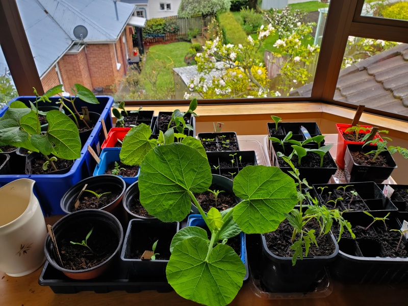 Big planting day out yet to come