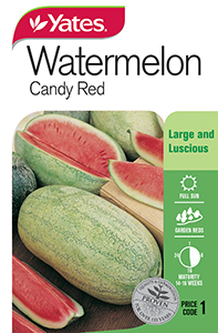 Watermelon 'Candy Red'