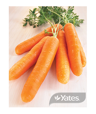 Seed Tape Carrot Manchester Product