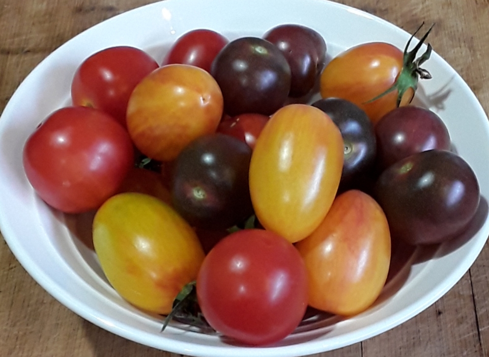 Fresh variety is what makes it special.