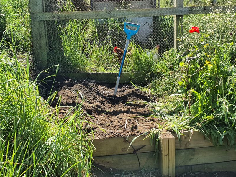 Friday Top Tips – Feeding Time