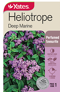 Yates Y35 968 Heliotrope Deep Marine 2021
