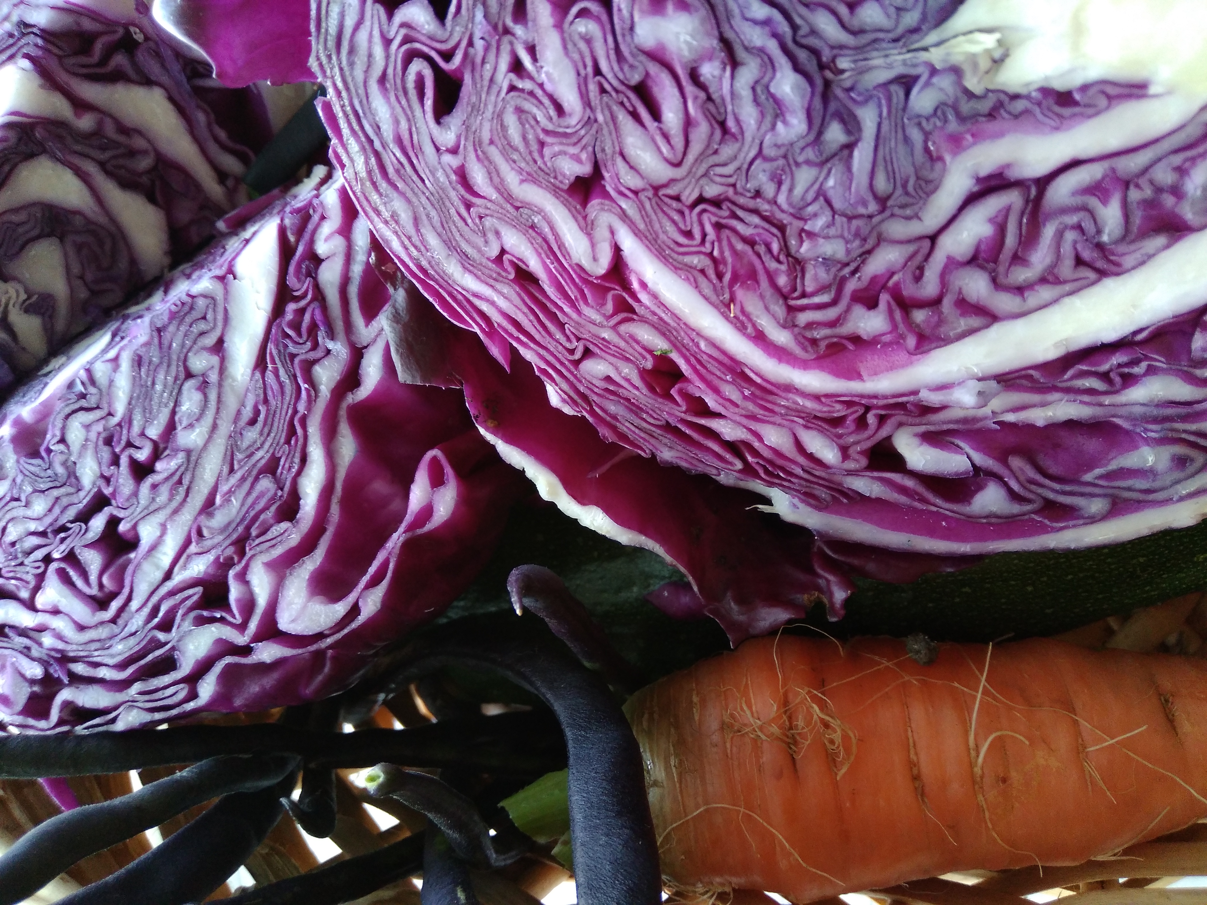 First 'fruits' and Foodie Friday