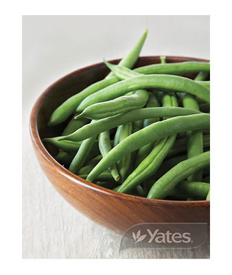 Dwarf Beans Gourmets Delight Product